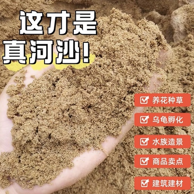 天然河沙儿童细沙种花冬眠造景乌龟沙鱼鱼缸多肉底沙种植兰花沙子