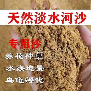 天然河沙子养花种植种花实验粗沙细砂黄沙通用营养土多肉兰花种植