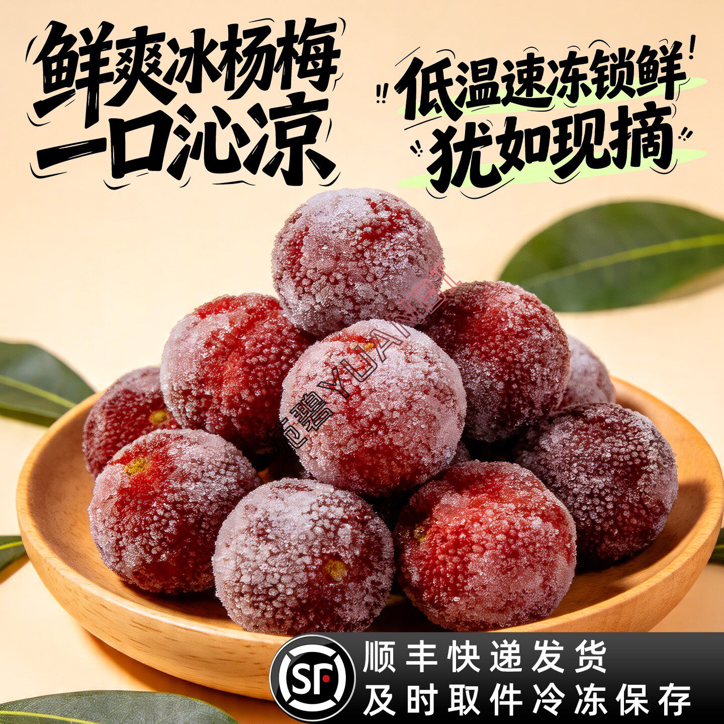 杨梅罗森同款东魁杨梅