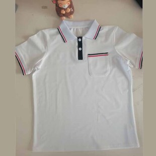 夏季天津北辰区学生校服上衣纯棉薄款短袖POLO衫班服园服休闲衫