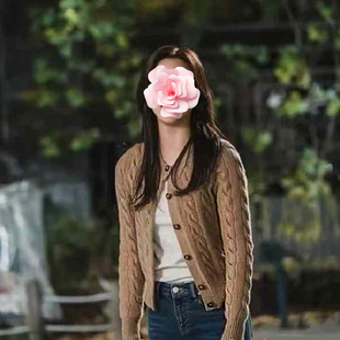 24新款 特惠249 文佳焕同款 经典 不退不换 扭花羊毛针织开衫 原439