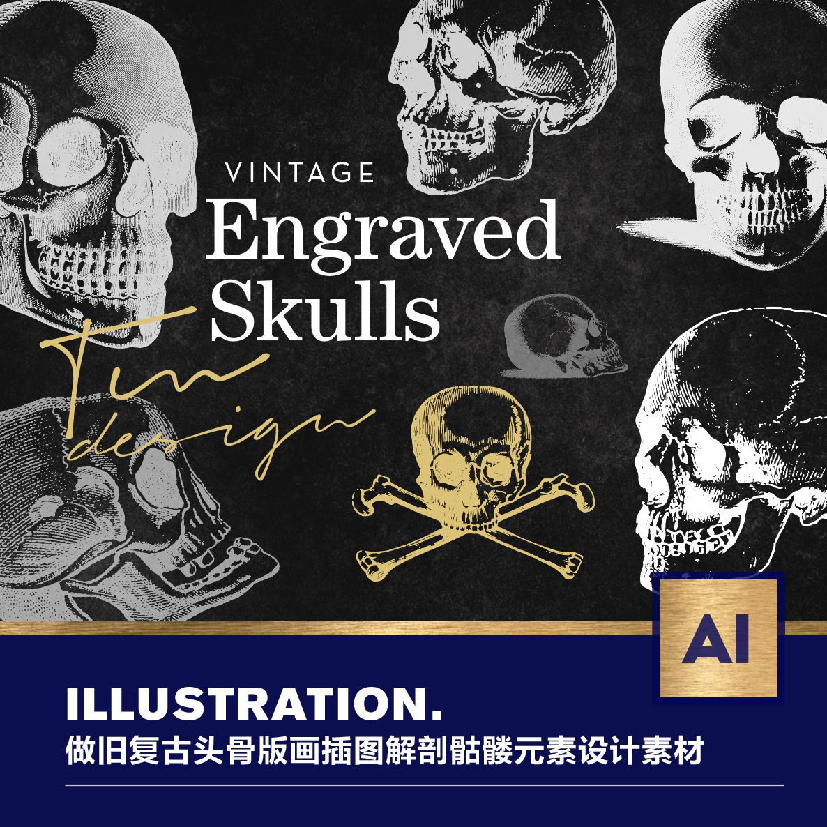 炫酷做旧复古头骨版画插图解剖学恐怖骷髅元素eps设计素材源文件