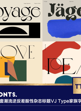 10套潮流俏皮优雅逆反差酸性杂志标题Logo设计VJType家族英文字体