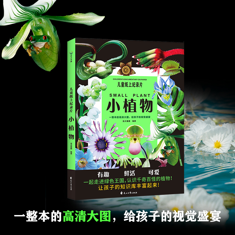 儿童纸上纪录片：小植物 波点童趣 小自然后新书 整本高清大图 给孩子的少儿科普绘本百科全书课外读物绘本漫画 磨铁图书 正版书籍