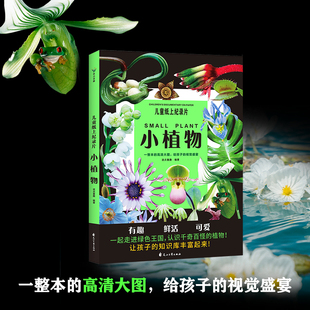 儿童纸上纪录片：小植物 波点童趣 小自然后新书 整本高清大图 给孩子的少儿科普绘本百科全书课外读物绘本漫画 磨铁图书 正版书籍
