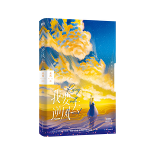 【赠主题明信片×3】我要逆风去 未再 龚俊 钟楚曦 吴宣仪 高至霆主演电视剧原著小说怪你过分美丽无删减青春小说磨铁图书正版书籍