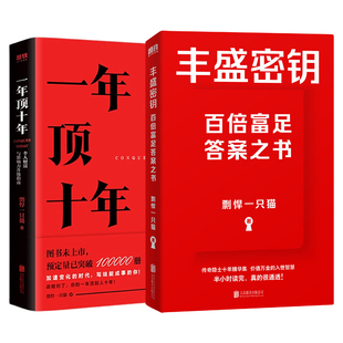 【全2册】丰盛密钥+一年顶十年 剽悍一只猫 一本写给奋斗者的高阶进化指南 价值万金的入世智慧 成长励志 自我提升 磨铁图书