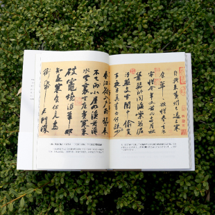 苏轼传正版 赠 附苏东坡年谱 更好看 人生励志人物传记书籍 大拉页 吴淡如著 赤壁赋 岳麓FX 书签 苏东坡新传 成为苏东坡
