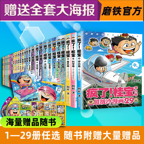 疯了桂宝全27册正版书籍