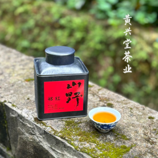 荒野老枞 山场气息 原生态 祁红毛峰 一年一采 祁门香 25年新茶