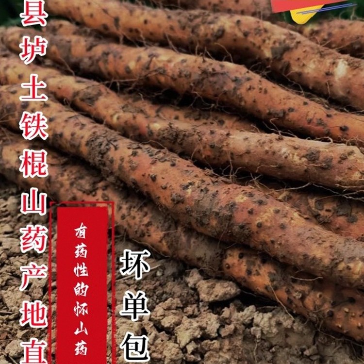 正宗河南焦作温县垆土铁棍山药怀山药产地直发特产香糯净重5斤