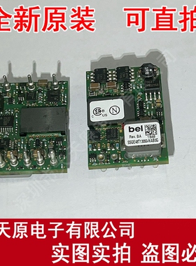 SSQE48T13050-NAB0G 原装正品100% 现货直拍 量大价优 DIP