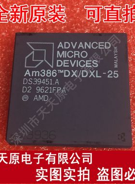 DS39451A   原装正品100% 现货直拍 量大价优 PGA镀金
