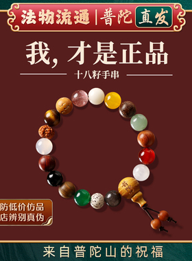【普陀山官方】正品十八籽手串多宝白玉菩提根18籽手链佛珠盘玩男