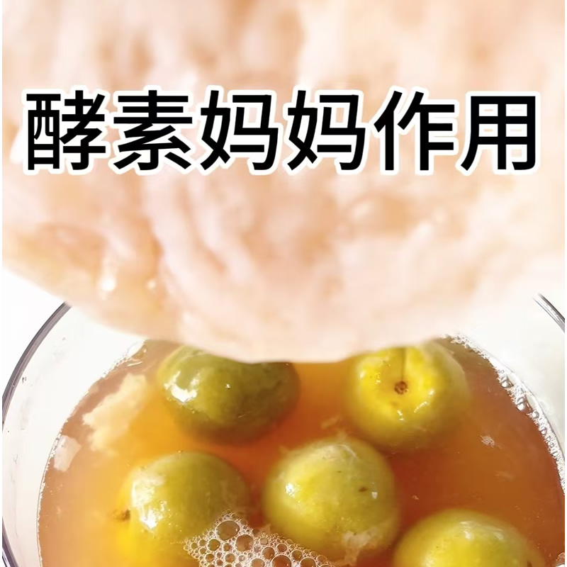 酵素妈妈菌液自制神仙水能量果浆