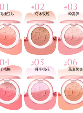 WODWOD花漾微醺渐变腮红