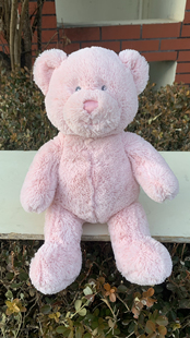 毛绒玩具高33CM 2009年泰迪熊公仔正版 孤品原单美国GUND老款 婴儿款