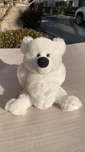 231222外贸出口原单样品白色求爱泰迪熊公仔正版 毛绒玩具全高33CM