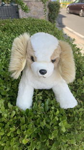 250603外贸出口原单老款 毛绒玩具长33CM 2009年白色小狗狗公仔正版