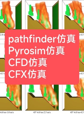 Pathfinder仿真服务 Pyrosim仿真 FDS火灾疏散仿真CFD仿真CFX仿真