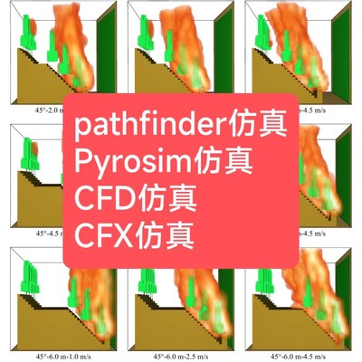 Pathfinder仿真服务 Pyrosim仿真 FDS火灾疏散仿真CFD仿真CFX仿真