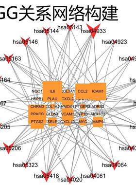 Cytoscape网络分析mega分析inkscape绘图ArcMap科研绘图