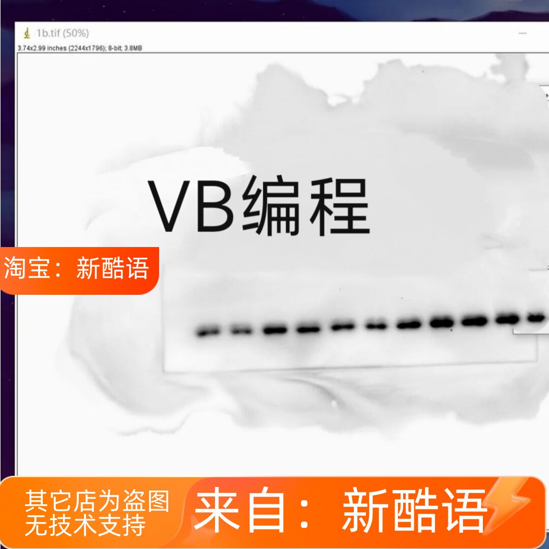 VB编程 VB数据库 VB管理开发 VB串口控制 VC实时控制vba编程GBM