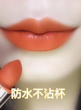 【官方正品】大牌胡萝卜色口红不沾杯不掉色素颜显白哑光雾面防水