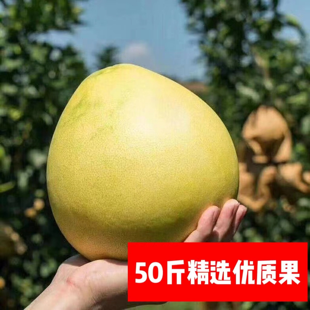 正宗梅州大埔红心蜜柚新鲜时令水果老树红柚果园直销50斤装中秋果
