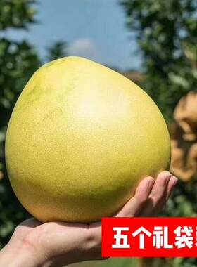 红心蜜柚时令梅州新鲜红心蜜柚