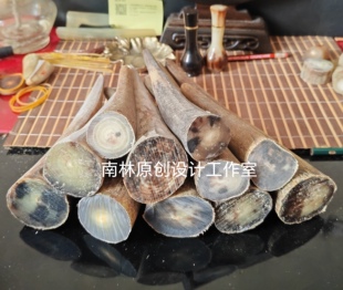 M22精选天然西藏白牦牛角首段原材料通透玉质色一物一图实物拍照