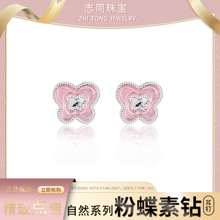 【志同珠宝】纯银粉色蝴蝶耳钉珐琅彩釉工艺日常穿搭百搭耳饰饰品