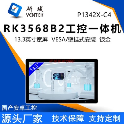 13.3寸宽压安卓工业平板一体机