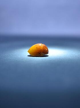 黑皮白玉独籽料龙龟手机挂坠戒面