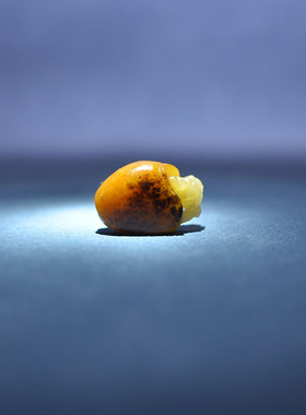 黄沁白玉籽料龙龟挂坠戒面手机挂