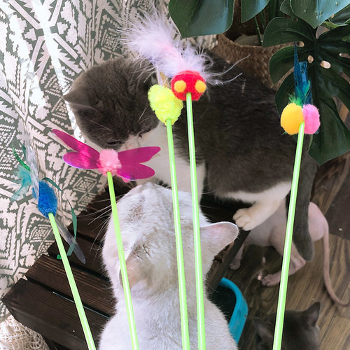台湾amy仿生羽毛仙女猫玩具