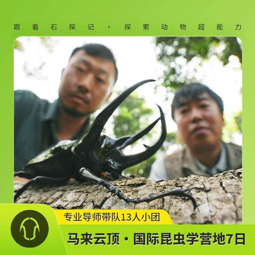 !|暑期特惠|!马来云顶高原，昆虫发烧友的盛宴（详情咨询店小二）