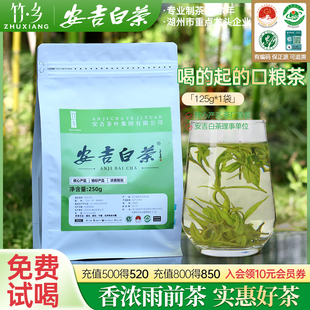 安吉白茶茶叶2025新茶雨前口粮茶袋散装 250g高山浓香自饮口粮绿茶
