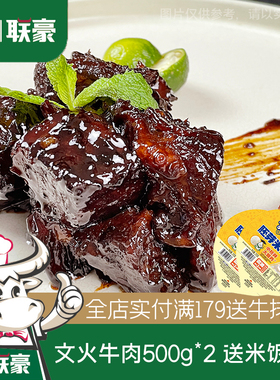 联豪食品文火牛肉500g*2/3包文火慢炖牛肉快捷菜食品生鲜加热即食