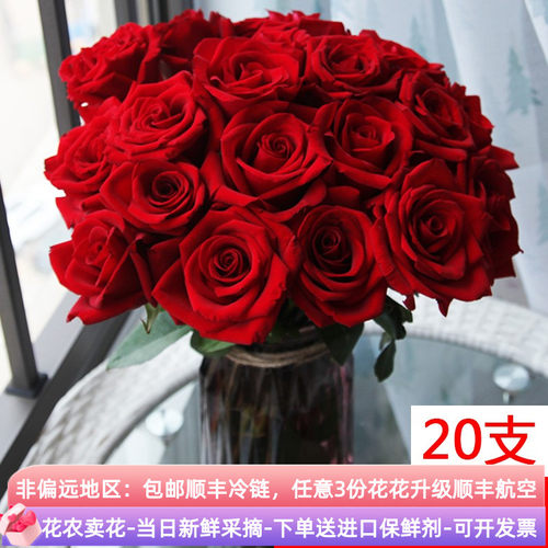 A级红玫瑰卡罗拉鲜花云南直发