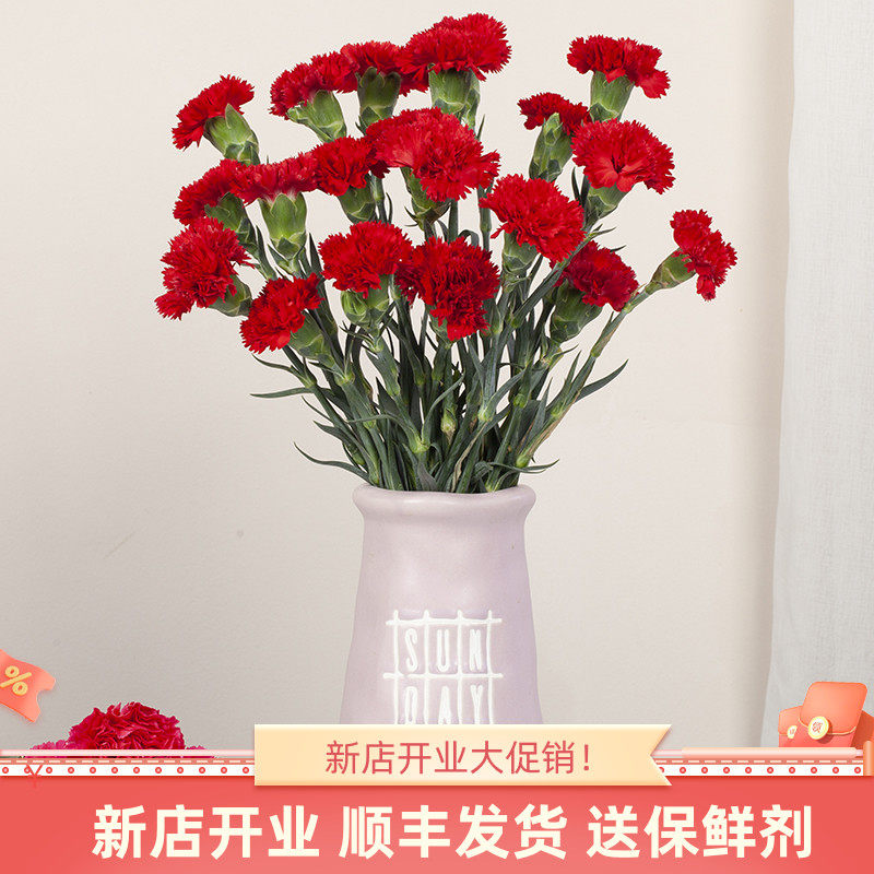 康乃馨鲜花云南昆明基地斗南直发水养花束花瓶插花康奶馨顺丰切花