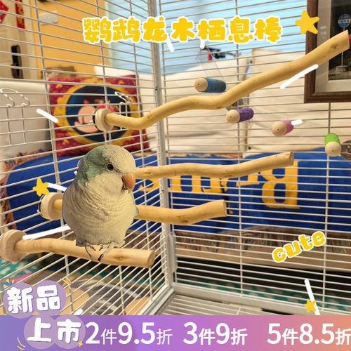 鹦鹉鸟站棒 天然龙木栖息棒站杆 实木弯曲牡丹玄凤栖息棒磨爪用品