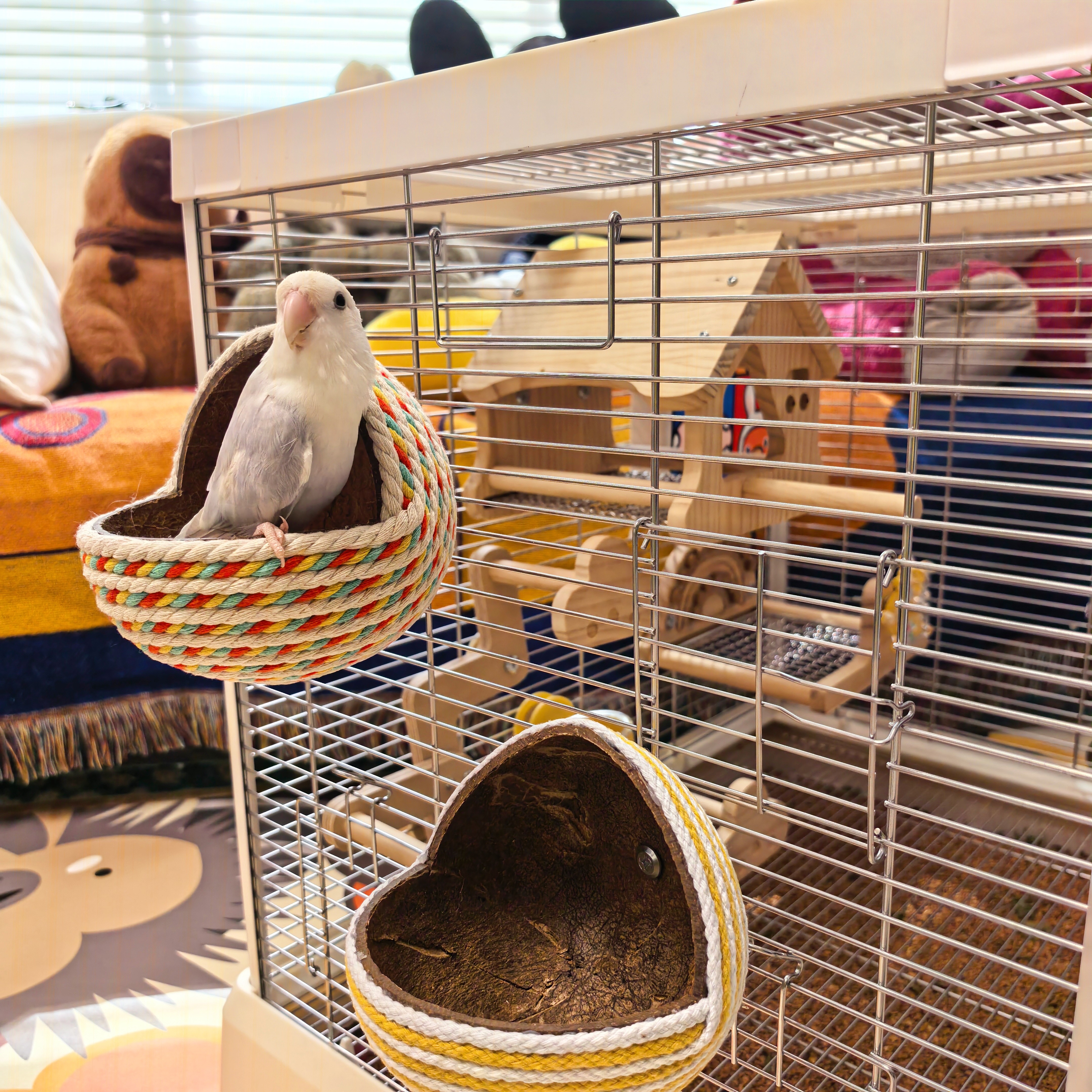 鹦鹉椰壳鸟窝椰壳窝舒适椰子窝牡丹玄凤鸟窝椰子睡窝,宠物/宠物食品及用品,鸟窝,淘宝优惠券,粉丝福利购,淘宝优惠卷