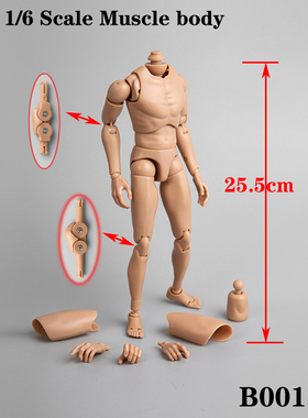 1/6兵人素体人偶B001浅色肤色第四代加强版仿HT男素体头雕绘画用