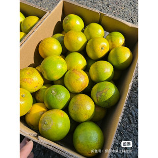 高原王子橙纯甜花斑果二号规格拆箱4斤装不担心吃不完包邮褚橙