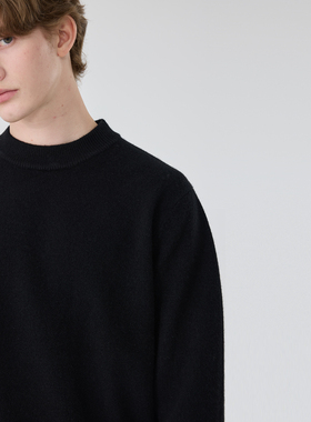 秋冬羊毛衫男100%绵羊毛半高领加厚保暖纯色高端基础轻奢毛衣男