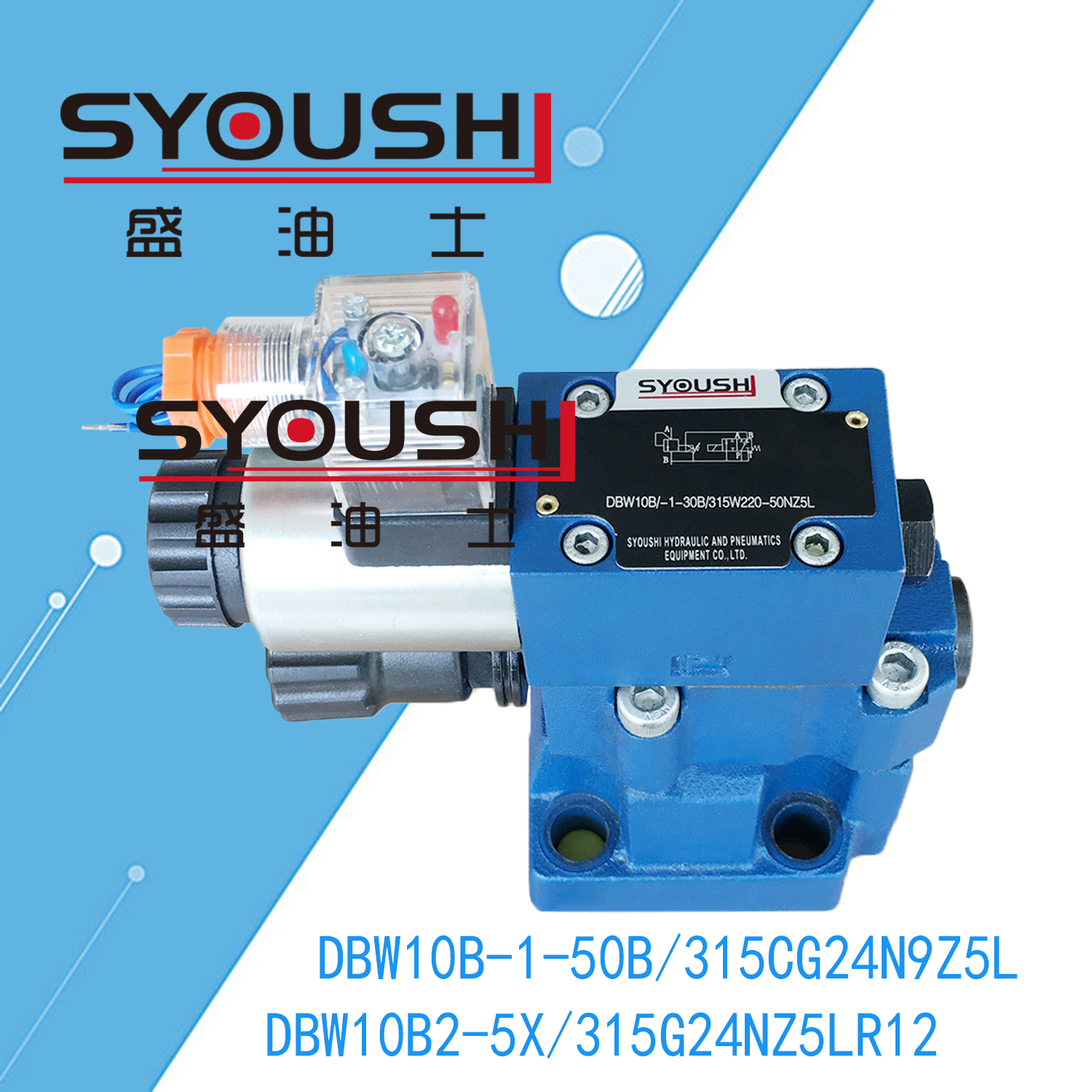电磁溢流阀DBW10B-1-50B/315CG24N9Z5L,DBW10B2-5X/315G24NZ5LR12