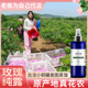 大马士革玫瑰纯露花水饱和爽肤水鲜花无添加补水未提取精油保湿
