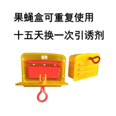 智猫牌果蝇诱杀站PCO消杀公司果蝇诱杀箱水果店小蚊子引诱苍蝇