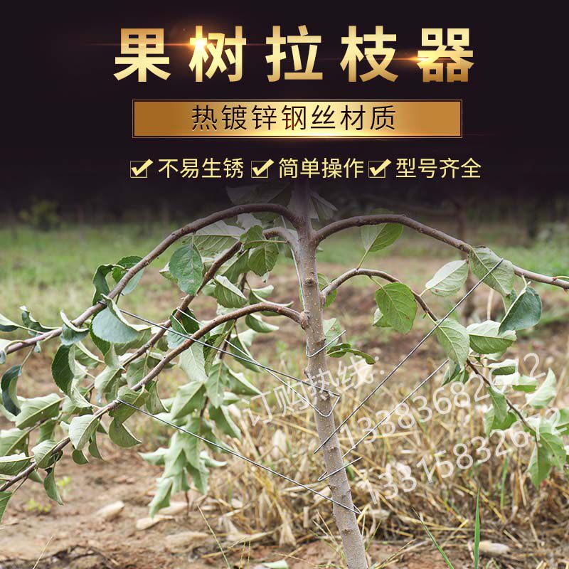 永德助主干型果树开角器拉枝器别枝器园林工具高纺锤型专用包邮